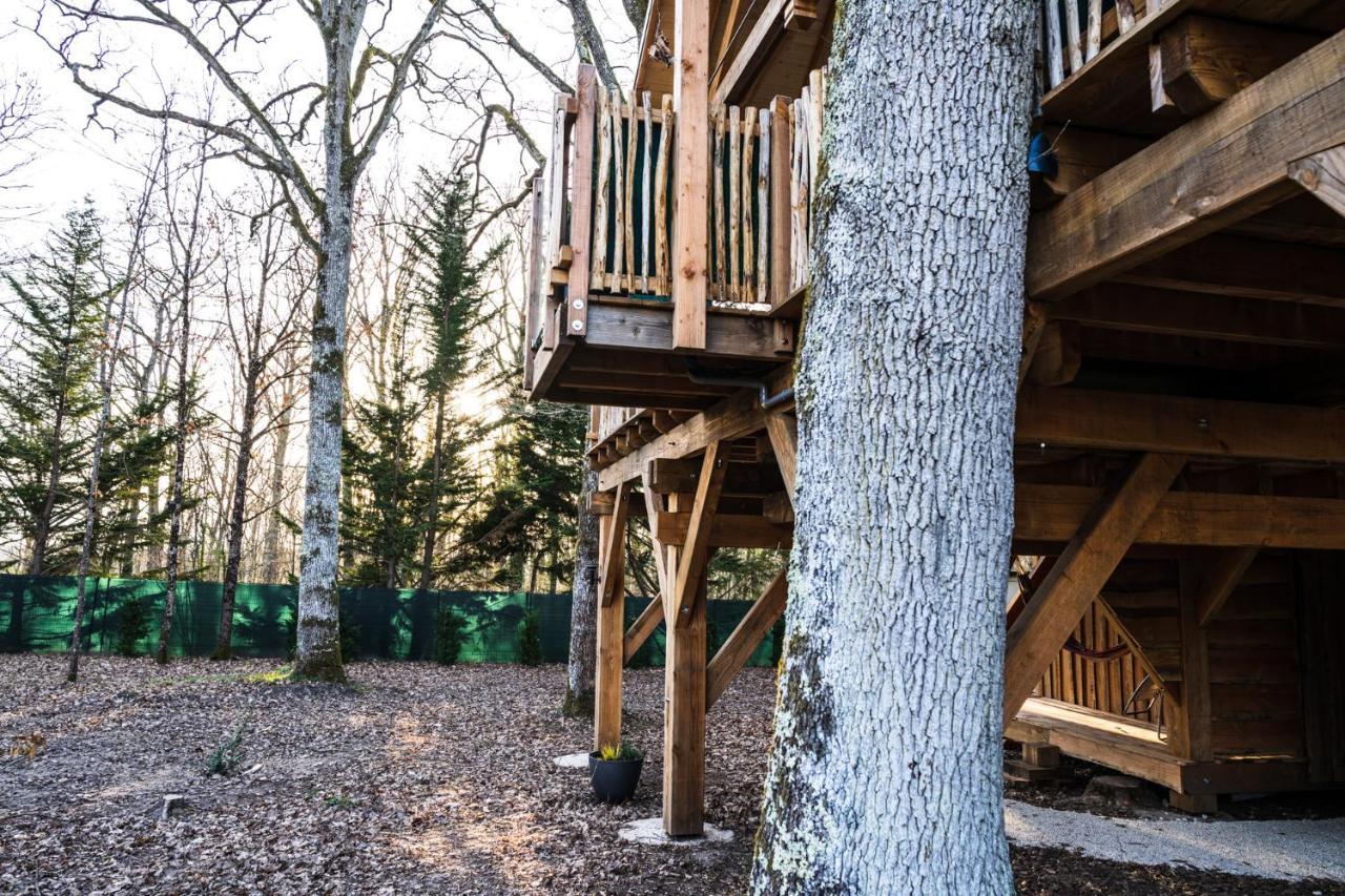 Charmante Cabane Dans Les Arbres Avec Jacuzzi Et Sauna Boismorand Ngoại thất bức ảnh
