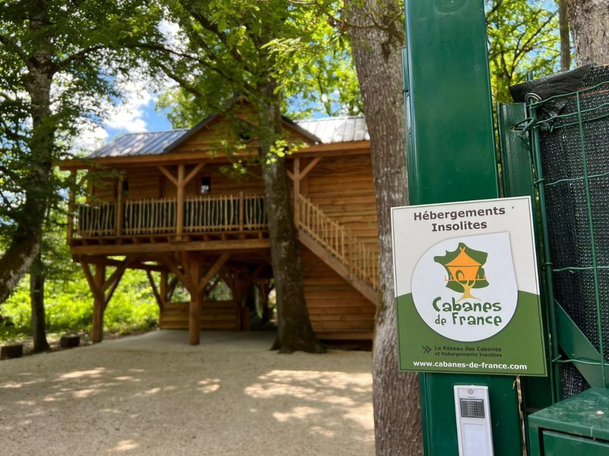 Charmante Cabane Dans Les Arbres Avec Jacuzzi Et Sauna Boismorand Ngoại thất bức ảnh