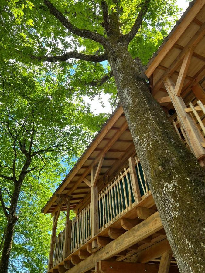 Charmante Cabane Dans Les Arbres Avec Jacuzzi Et Sauna Boismorand Ngoại thất bức ảnh