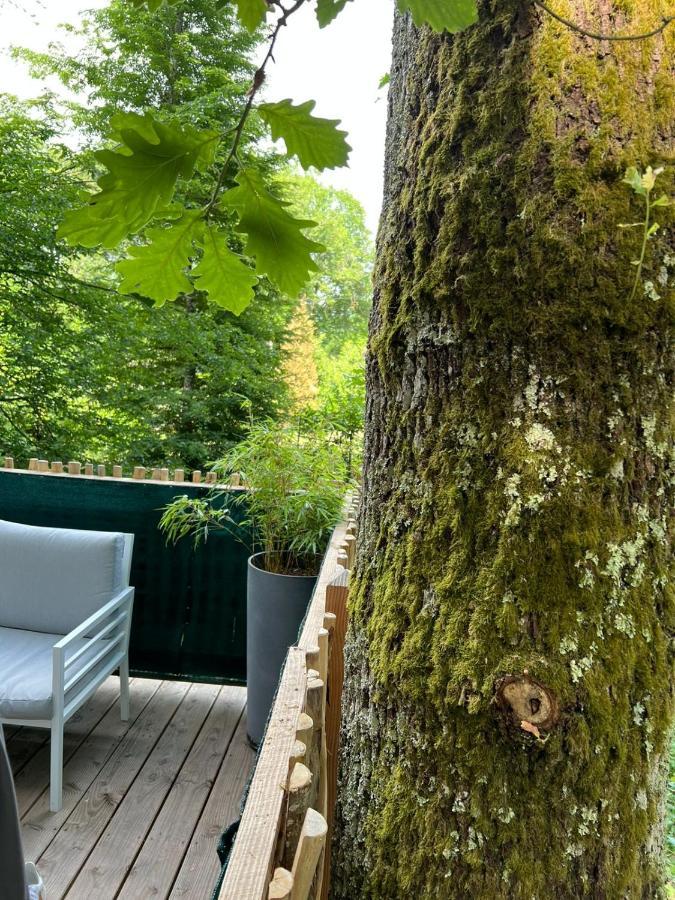 Charmante Cabane Dans Les Arbres Avec Jacuzzi Et Sauna Boismorand Ngoại thất bức ảnh