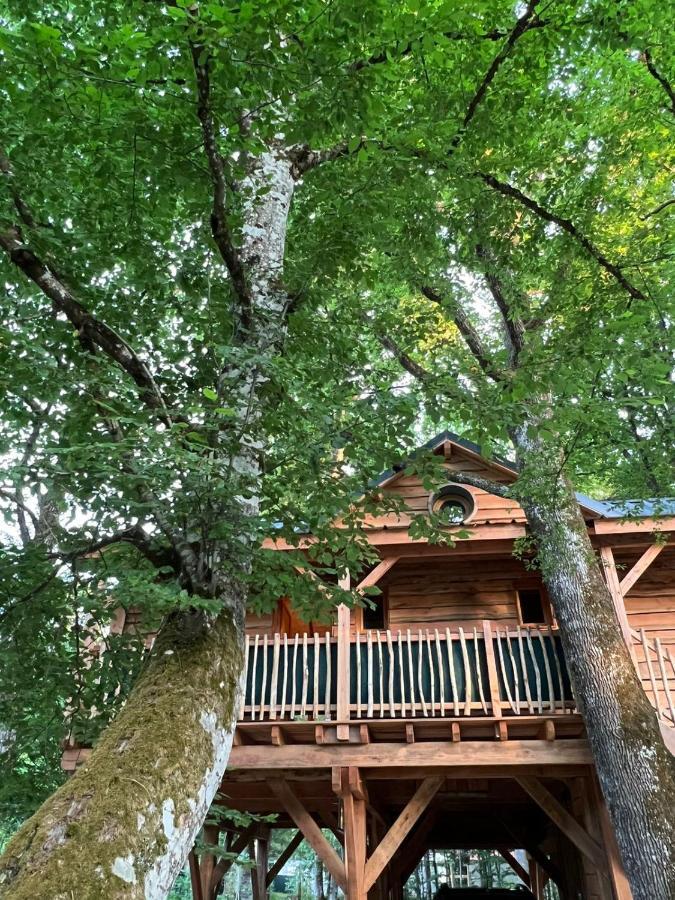 Charmante Cabane Dans Les Arbres Avec Jacuzzi Et Sauna Boismorand Ngoại thất bức ảnh